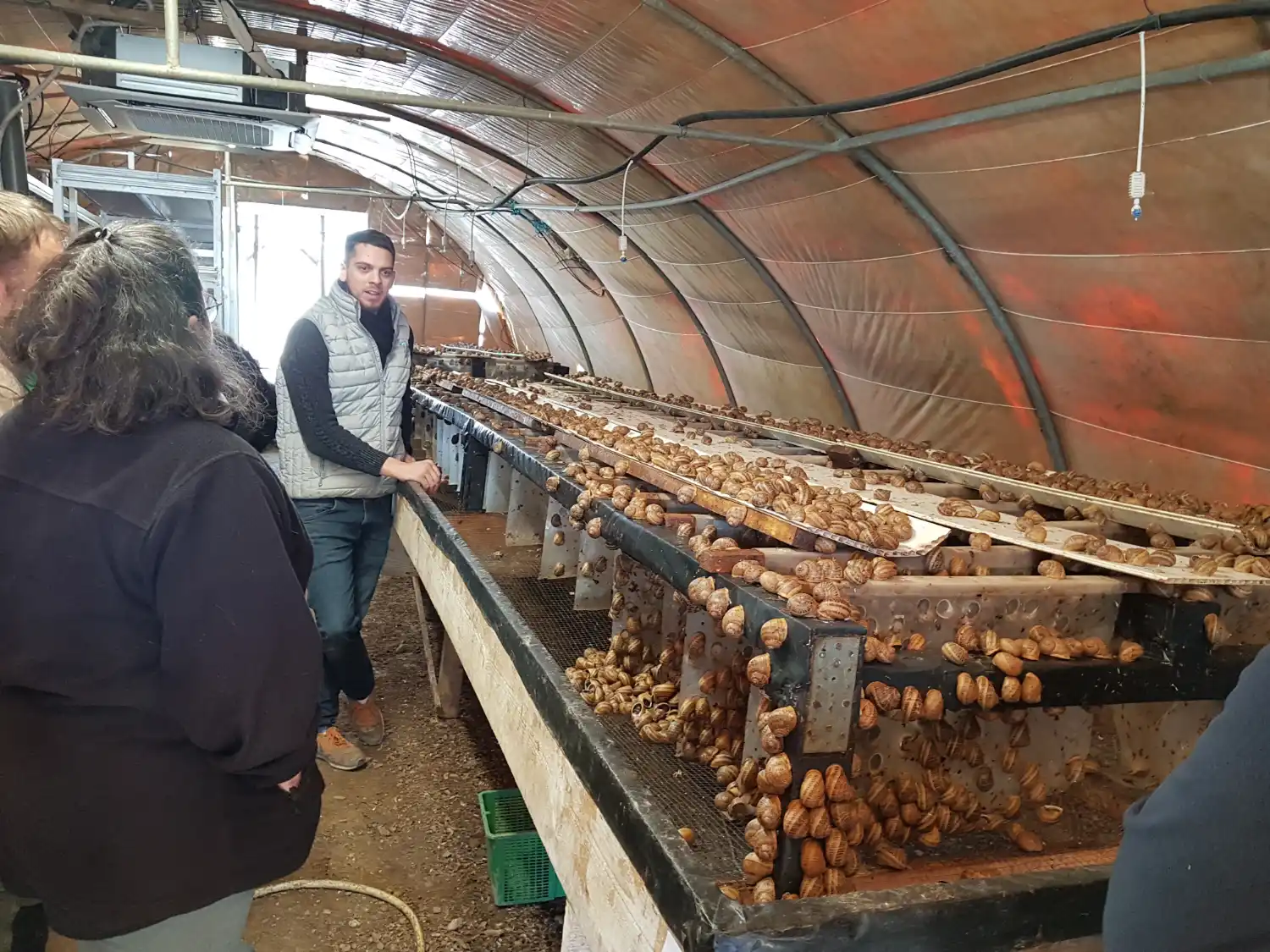 Visite ferme escargots Romont